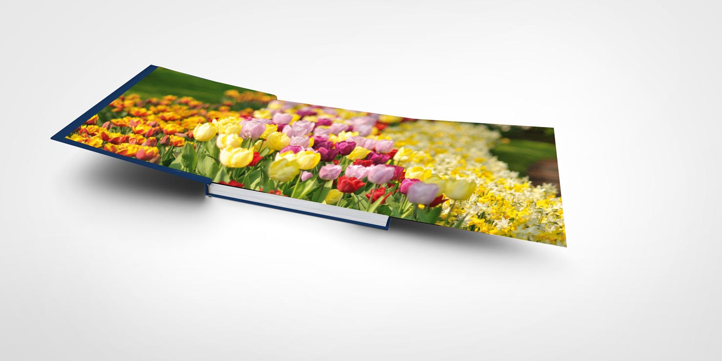 boek ontwerp beautiful holland
